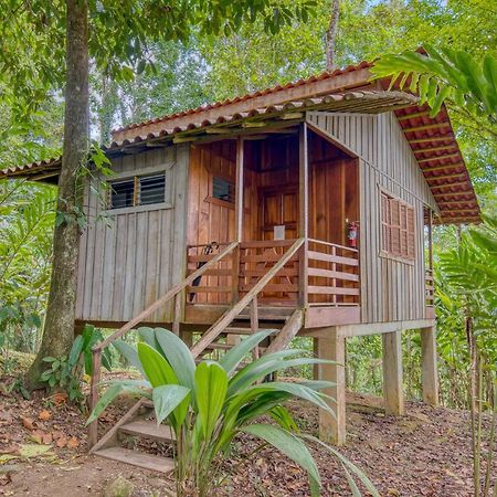 Selva Bananito Lodge Westfalia Buitenkant foto