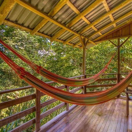 Selva Bananito Lodge Westfalia Buitenkant foto