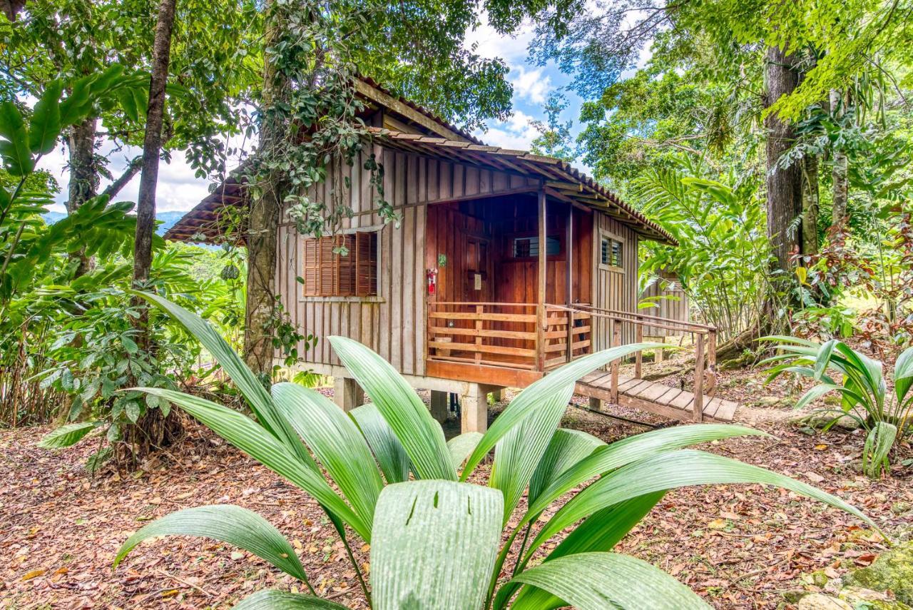 Selva Bananito Lodge Westfalia Buitenkant foto