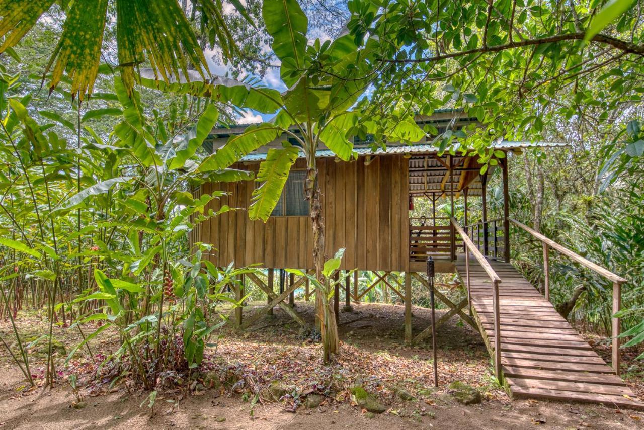 Selva Bananito Lodge Westfalia Buitenkant foto