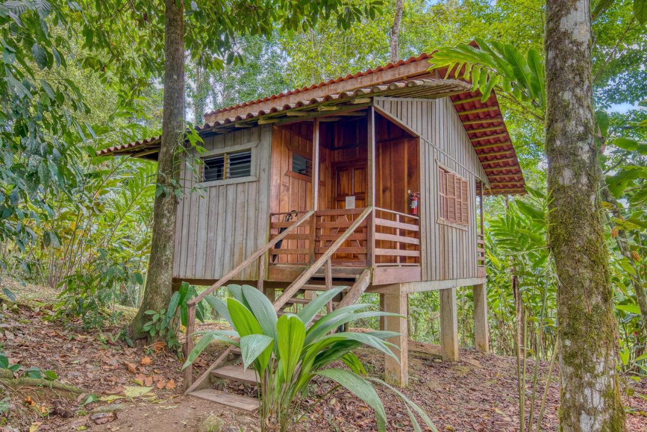 Selva Bananito Lodge Westfalia Buitenkant foto