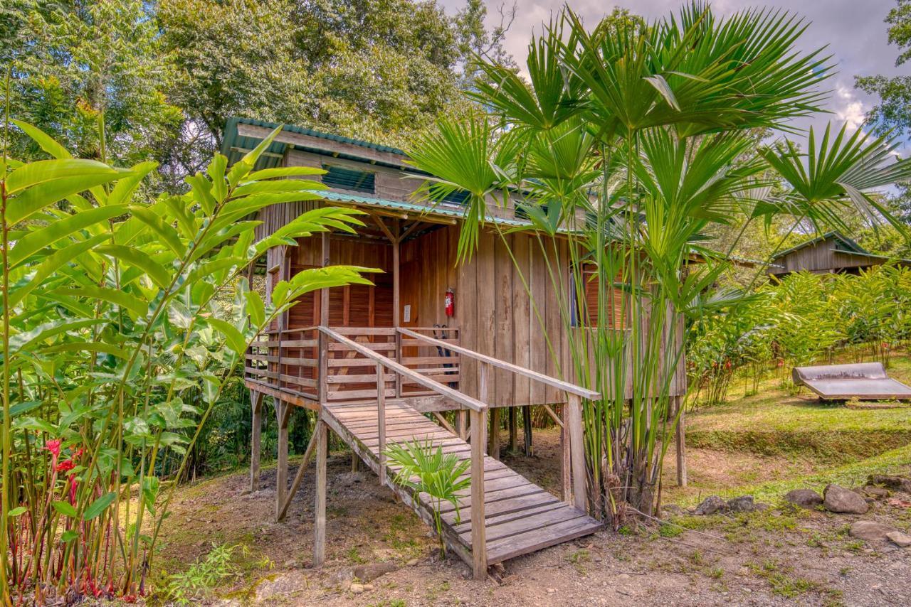 Selva Bananito Lodge Westfalia Buitenkant foto