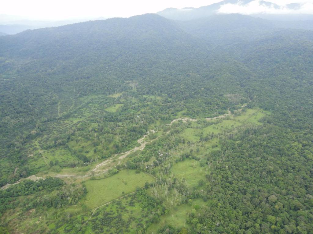 Selva Bananito Lodge Westfalia Buitenkant foto